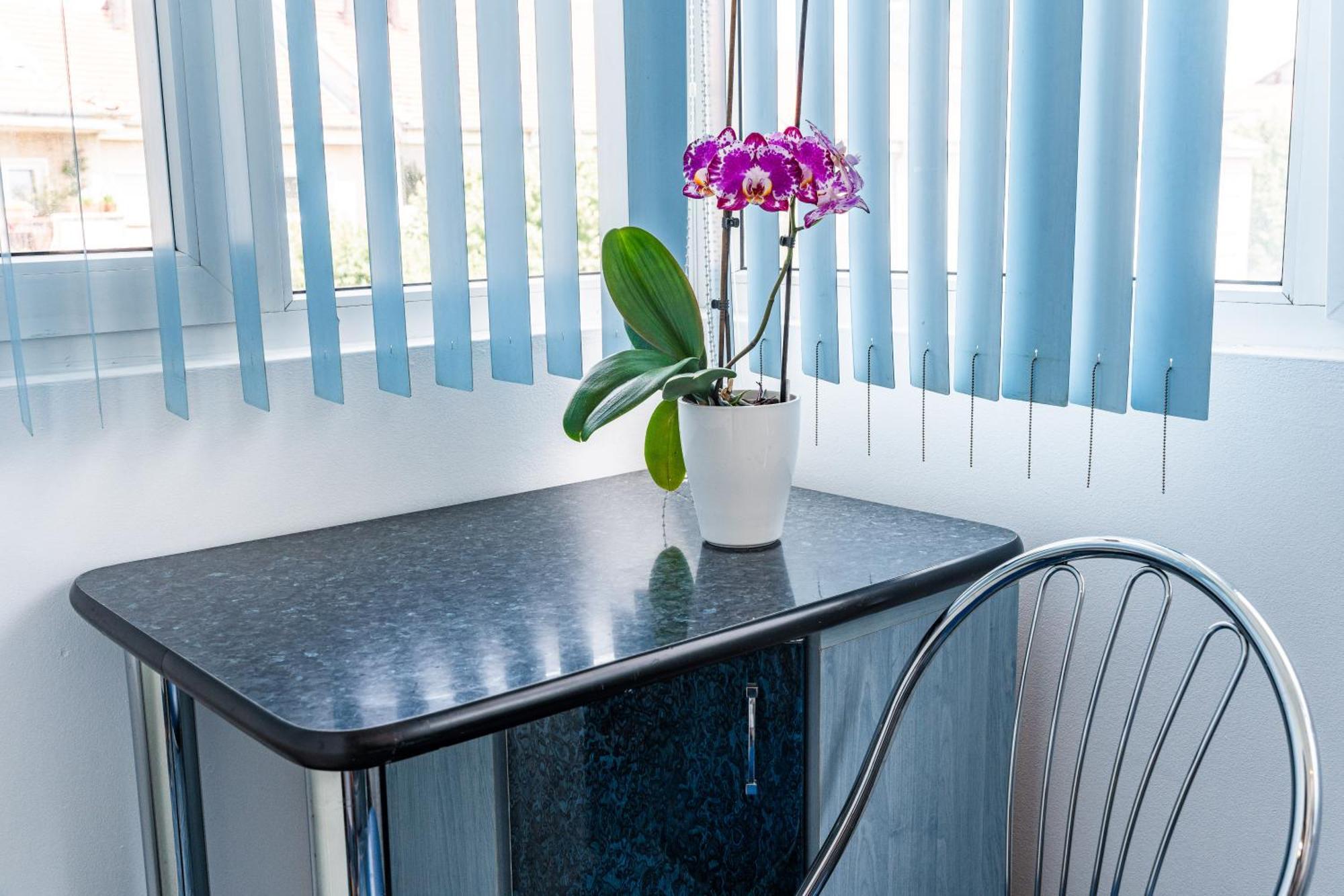 Arad Central Joy - Mihaela Apartment Kültér fotó